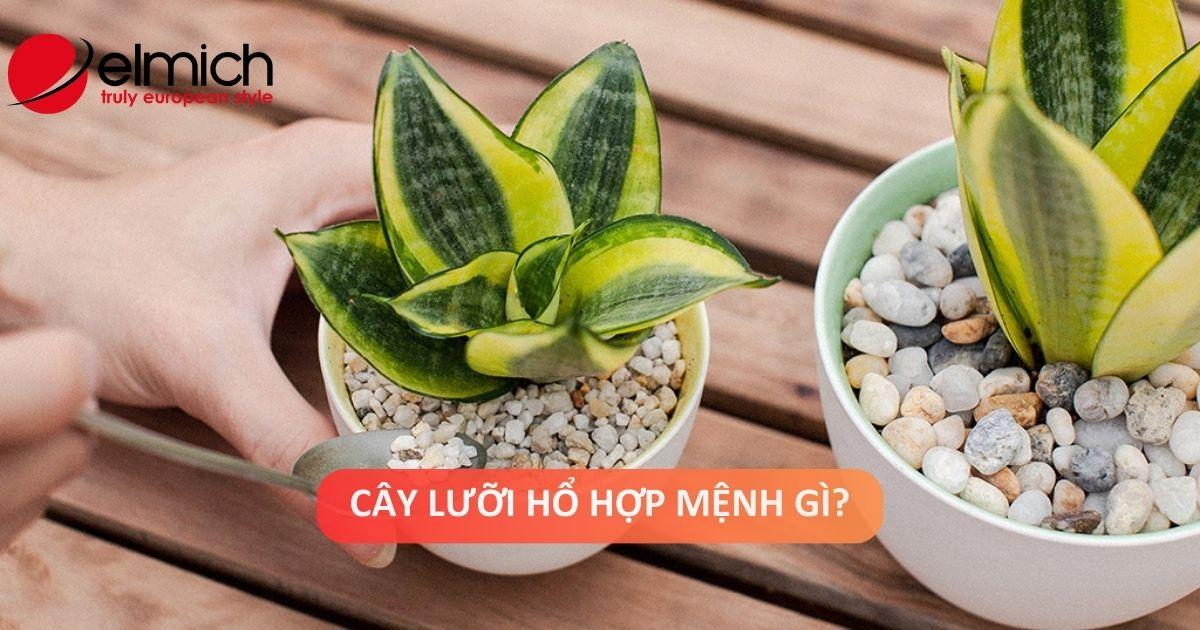 Hinh anh cac mau trang xam kim loai xung khac voi nguoi menh Moc can tranh